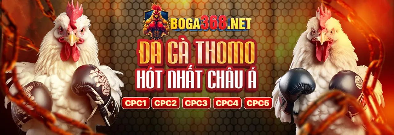 Sân đấu đá gà kịch tính tại ae3888
