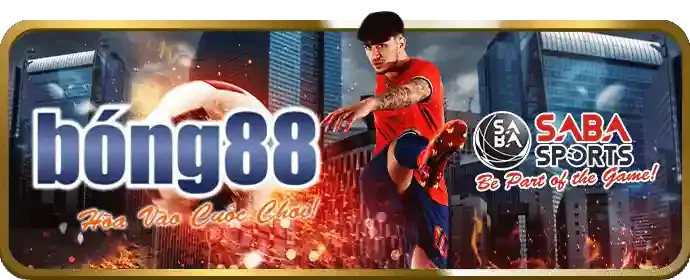 Tỷ lệ cược cạnh tranh và thanh toán nhanh